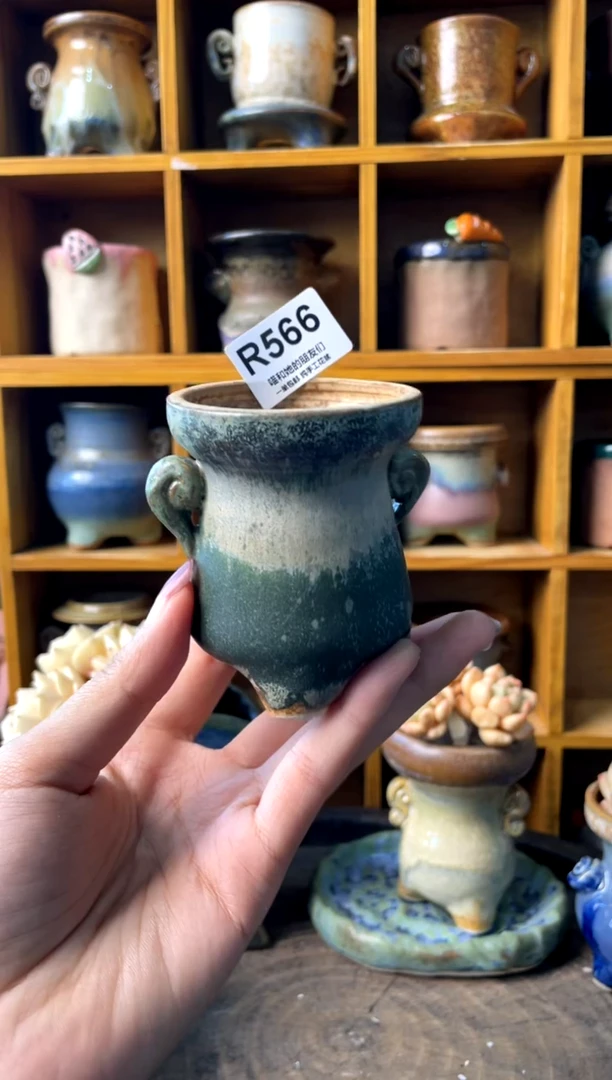 夏*之566【多肉花盆多肉盆】