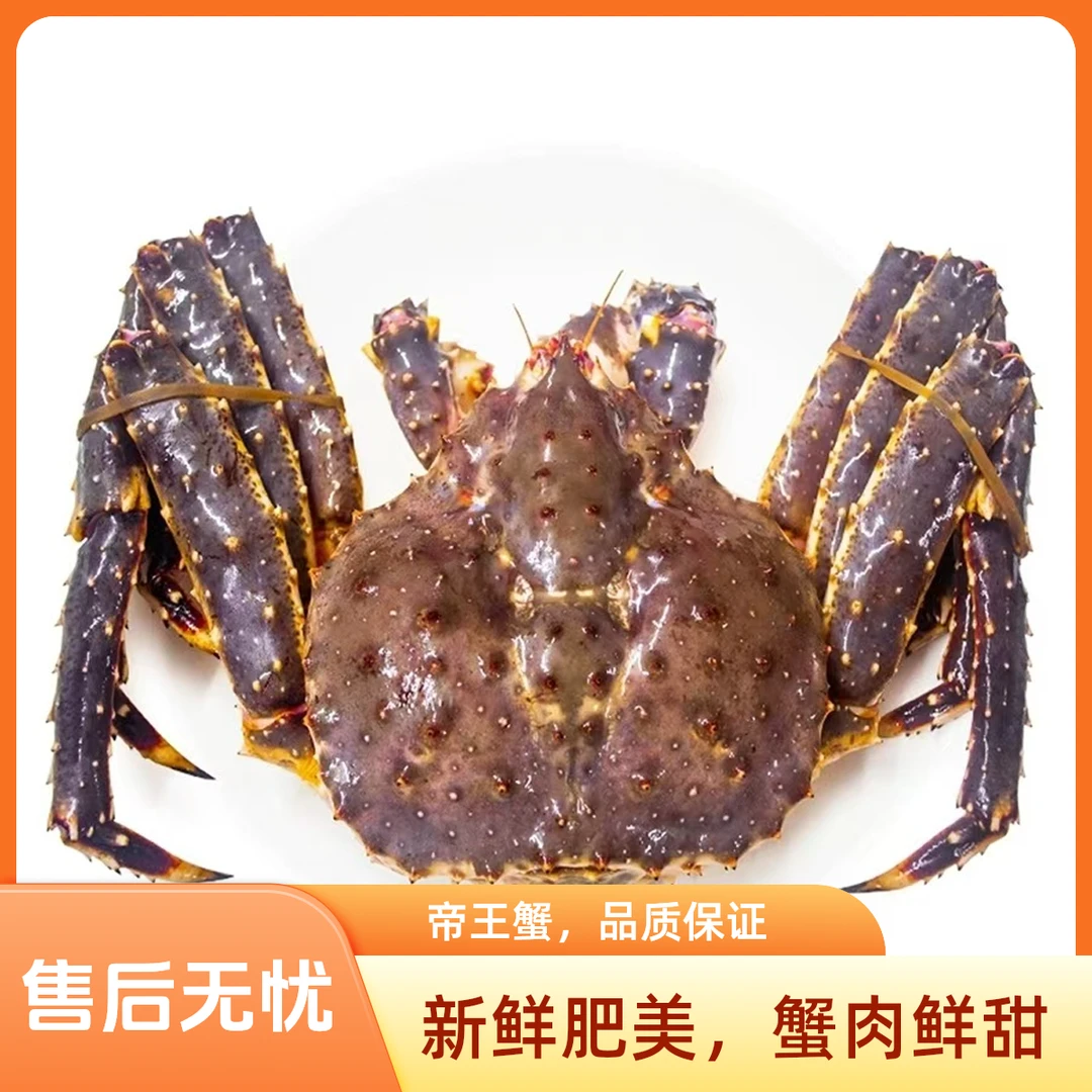 【品鲜猫】鲜活红蟹 鲜活帝王蟹，鲜活发货，鲜活发出2.7斤-5斤/只