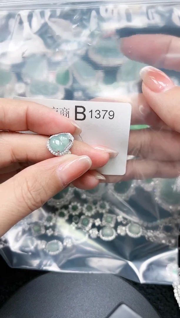 【闪购商品】翡翠颈饰未镶嵌赠皮绳1379