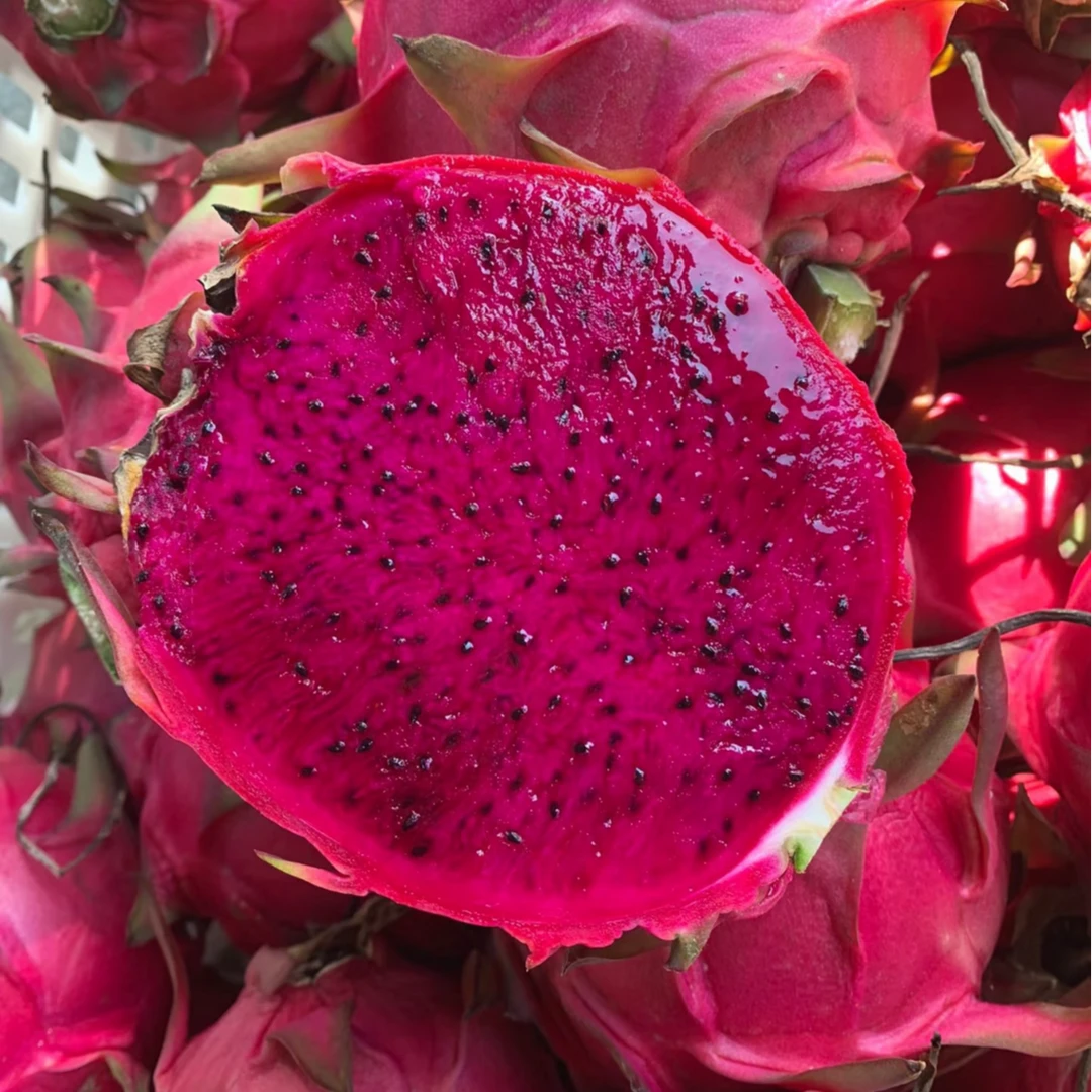 【红心火龙果】红肉新鲜采摘当季新鲜鲜甜多汁大果热带水果孕妇整箱