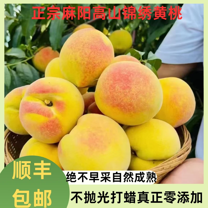 现摘湖南麻高山锦绣黄桃脆桃当季新鲜应季水果脆甜多汁整箱包邮