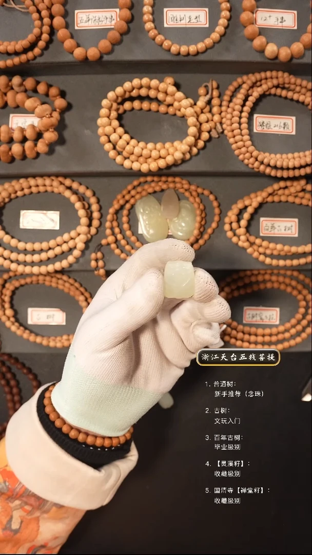 【闪购商品】五线菩提吊坠手串