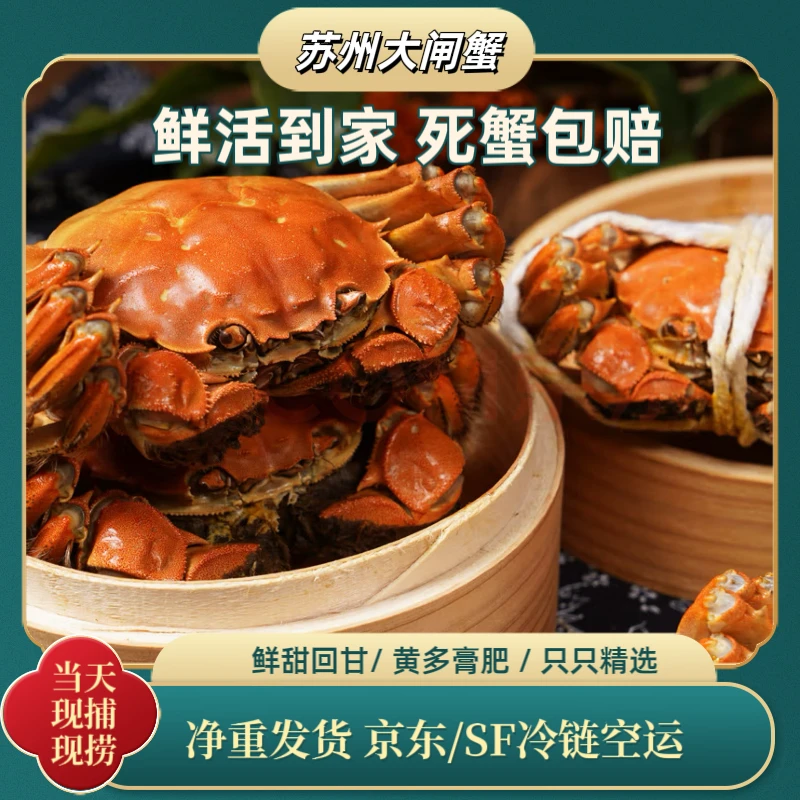【活蟹现发】正宗苏州大闸蟹母蟹2.0-2.3两16只礼盒装京东顺丰包邮