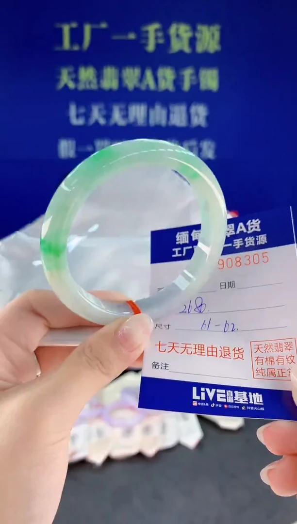 未镶嵌手镯翡翠05
