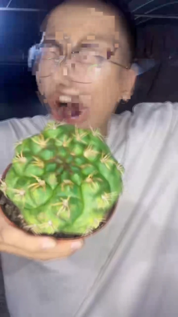 实生根 美花海王