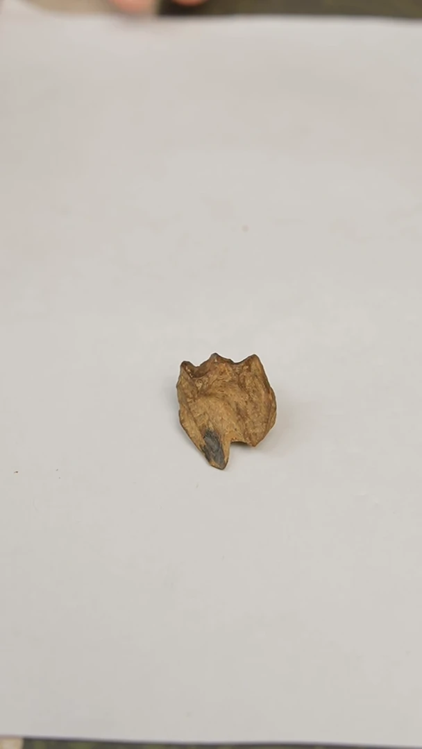 沉香吊坠越南黄土沉水花香带奶香