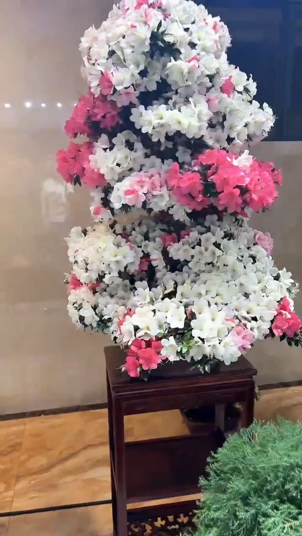 全部花朵五月晴皋月杜鹃