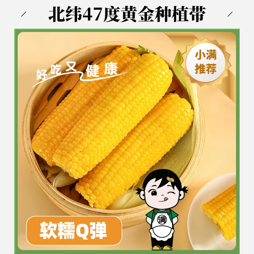 【试吃两根】北纬47度黄金种植带黄白糯玉米软糯香甜粘【冷冻保存】