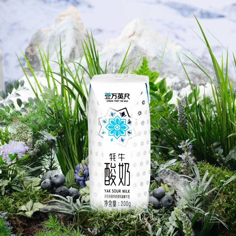 青藏雪域高原牦牛酸奶