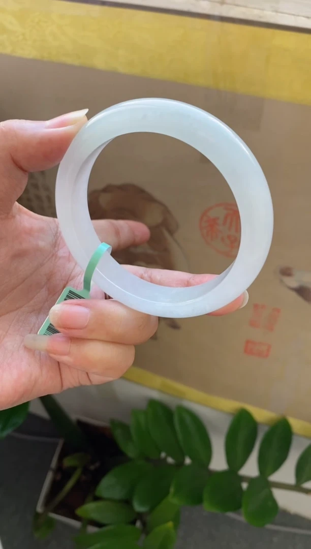 【闪购商品】翡翠手镯未镶嵌（冰透白月光）22号