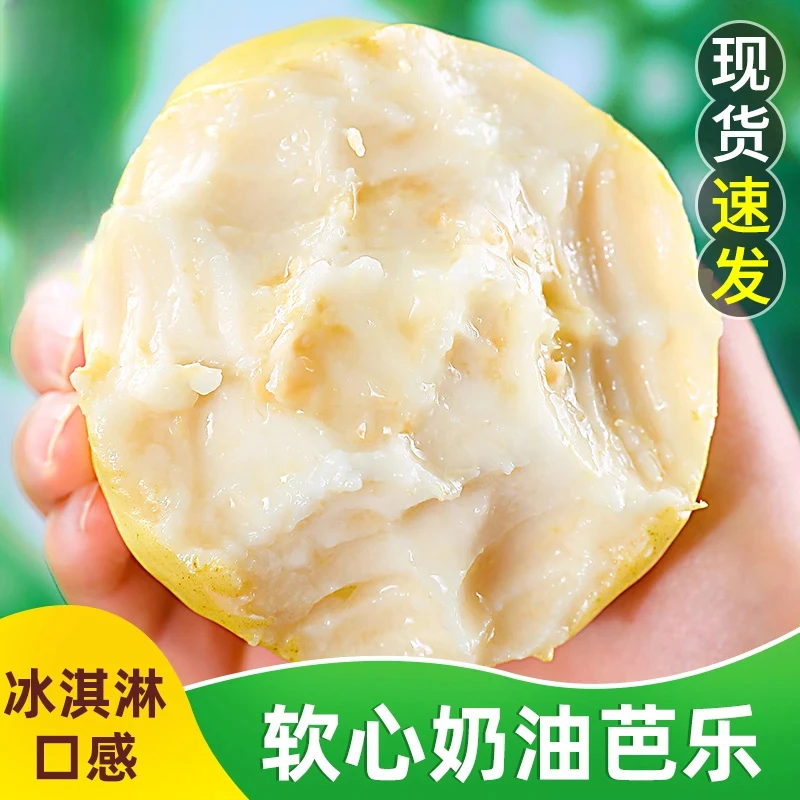 白心软芭乐软糯软心奶油孕妇水果番石榴硬脆甜产地新鲜现摘现发