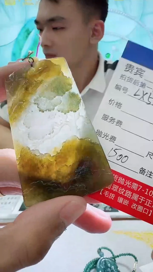 未镶嵌定制翡翠LX55翡翠吊坠带珠链-多样性发其一