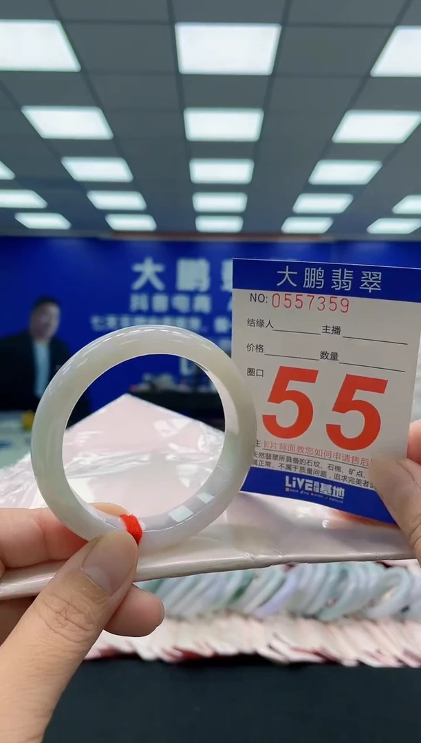 未镶嵌手镯翡翠AAAAAAAAA