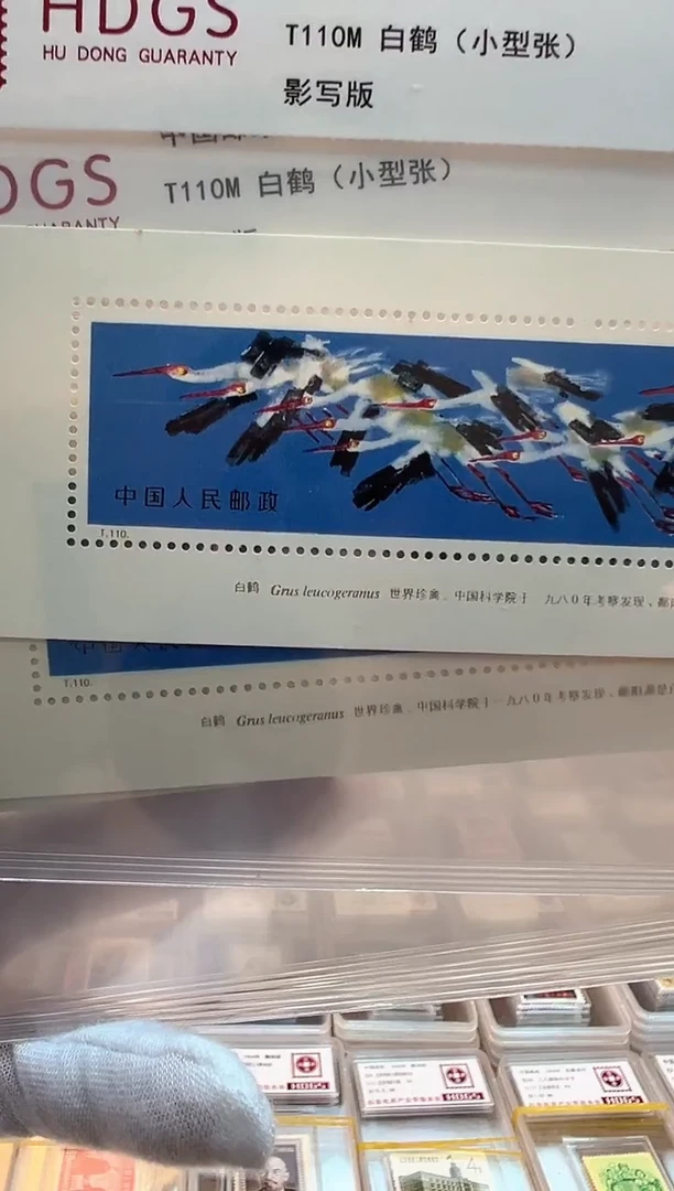 【小型张】T110  白鹤（小型张）