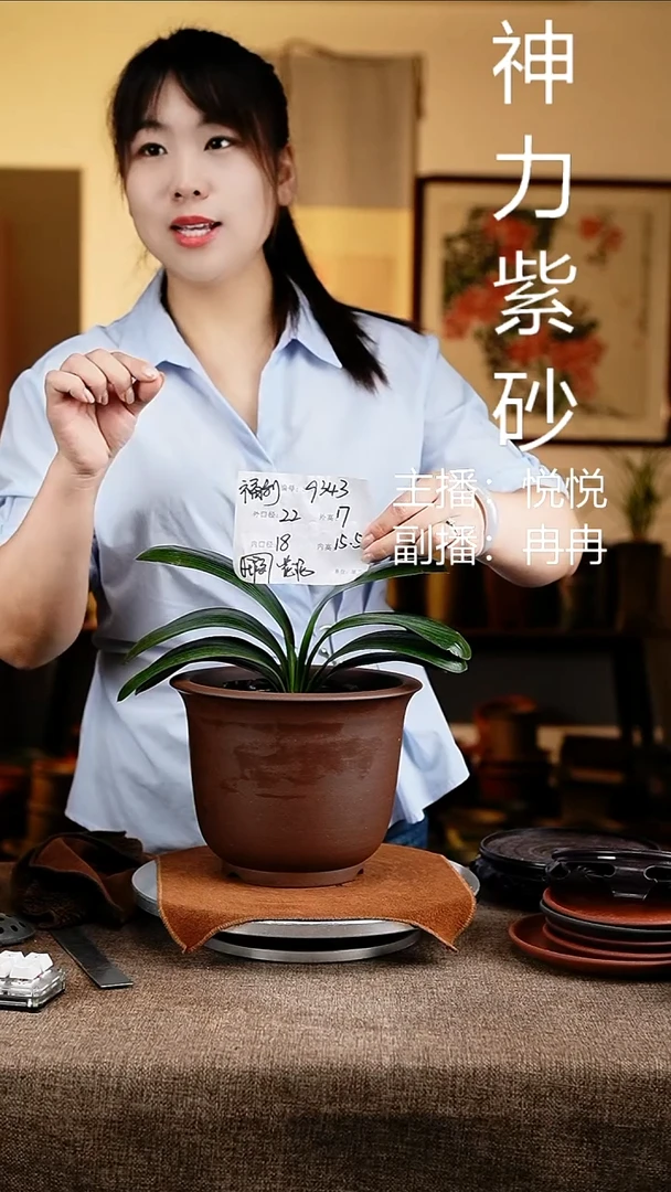 紫砂花盆花卉工艺9343微瑕