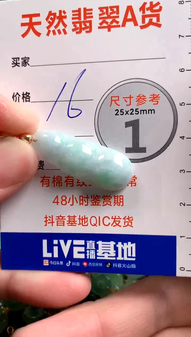 【闪购商品】翡翠颈饰未镶嵌14002572