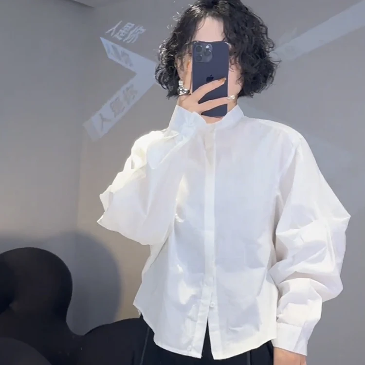 2024新款复古立领马蹄袖衬衫女春秋打底衬衣设计感百搭洋气上衣