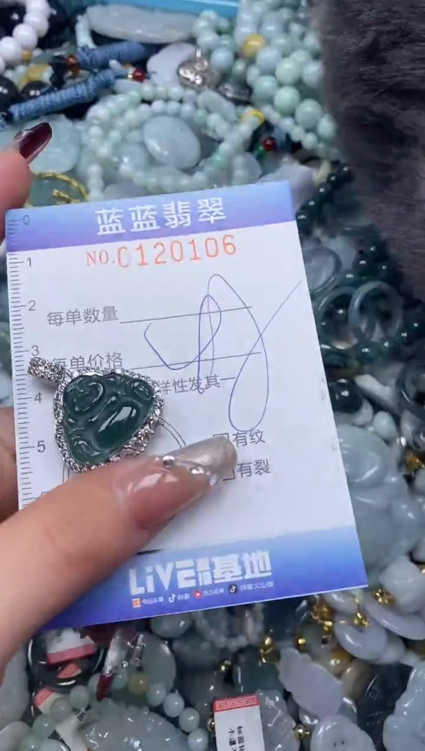 【闪购商品】翡翠颈饰未镶嵌闪购0120106