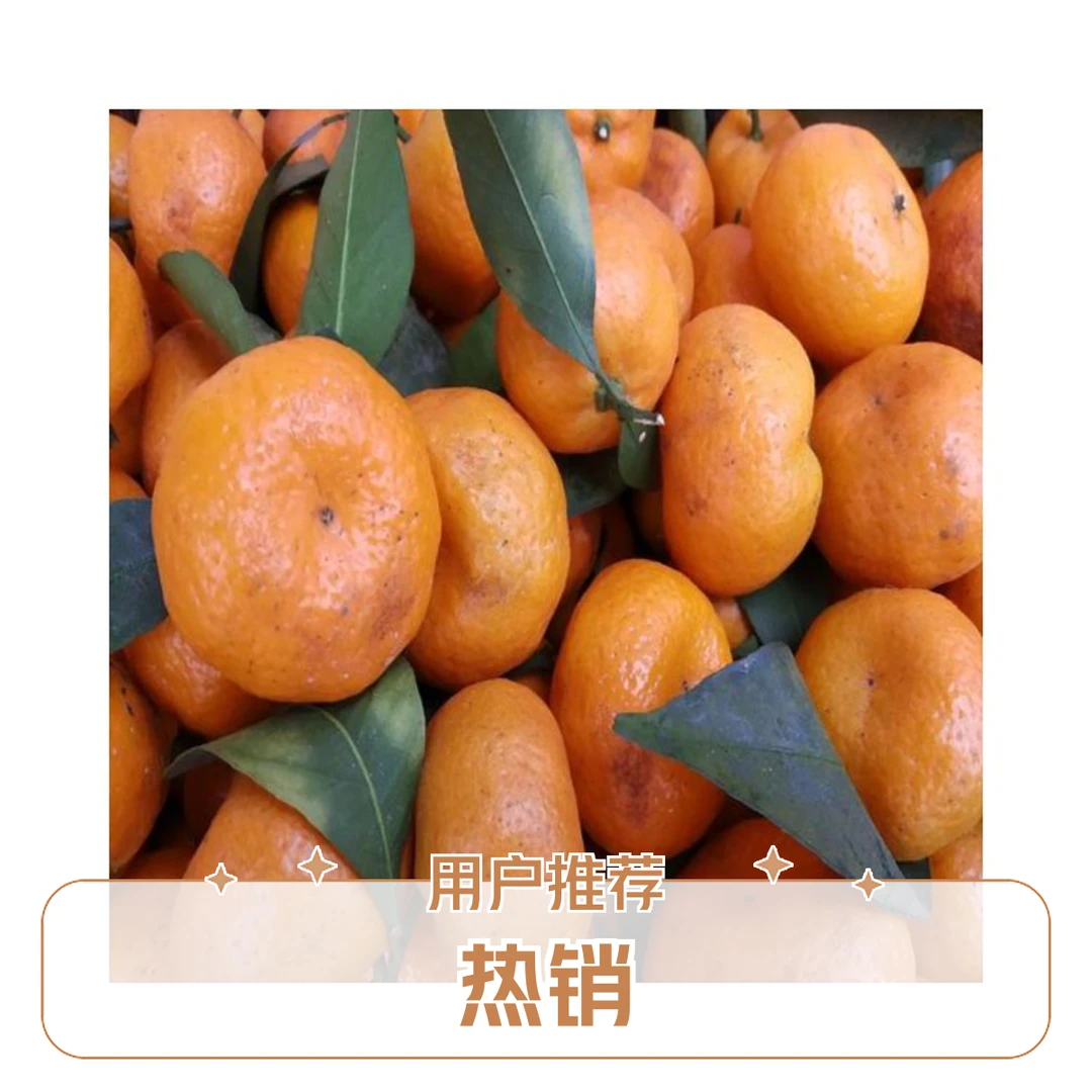 广西桂林砂糖橘广西壮族自治区