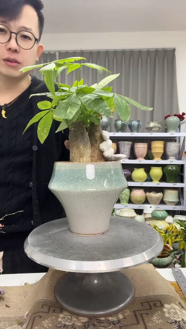 1.5花盆尺寸高： 17   口： 15