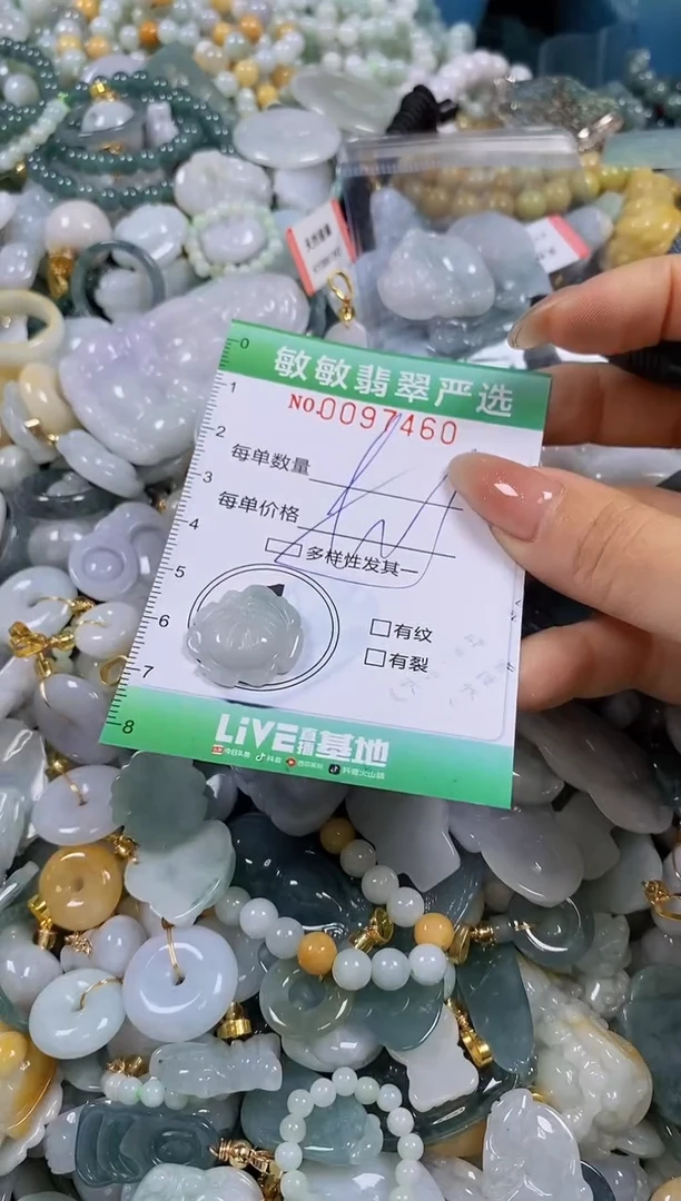 【闪购商品】翡翠颈饰未镶嵌闪购0097460多样性发其一