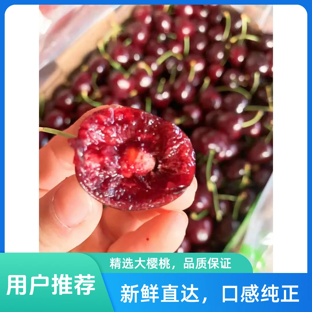 【整箱】车厘子 5斤/箱（内附果径卡28-30mm）JJ/空运桑提娜几内亚