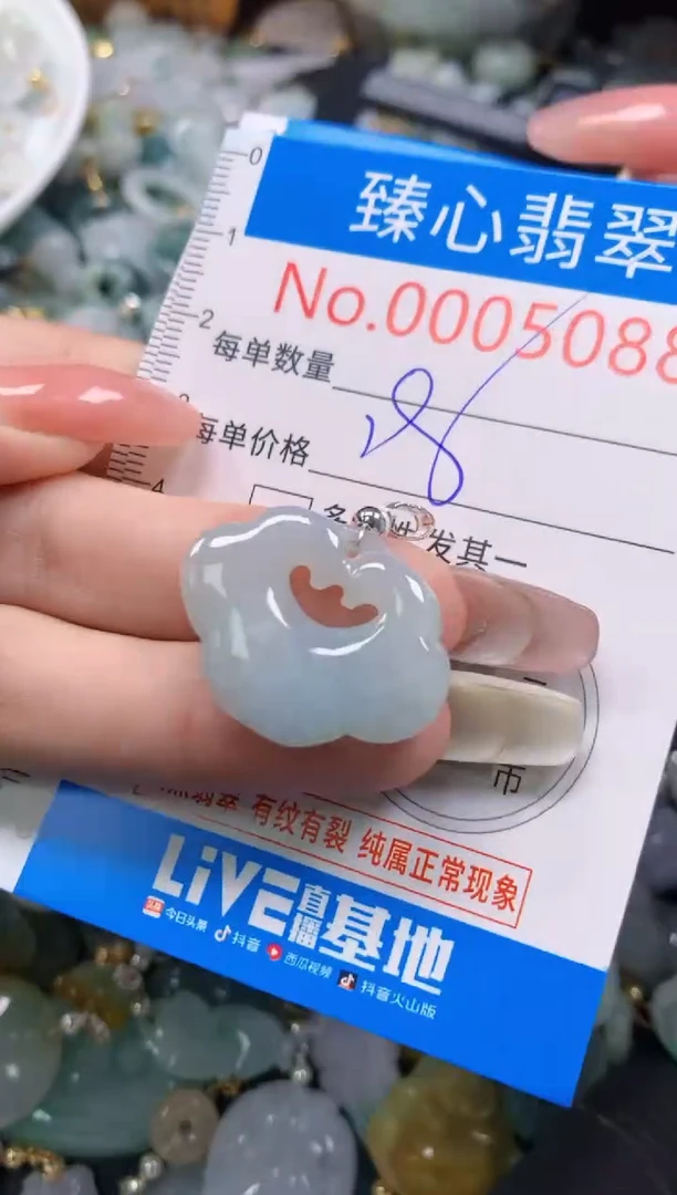 翡翠未镶嵌颈饰5088