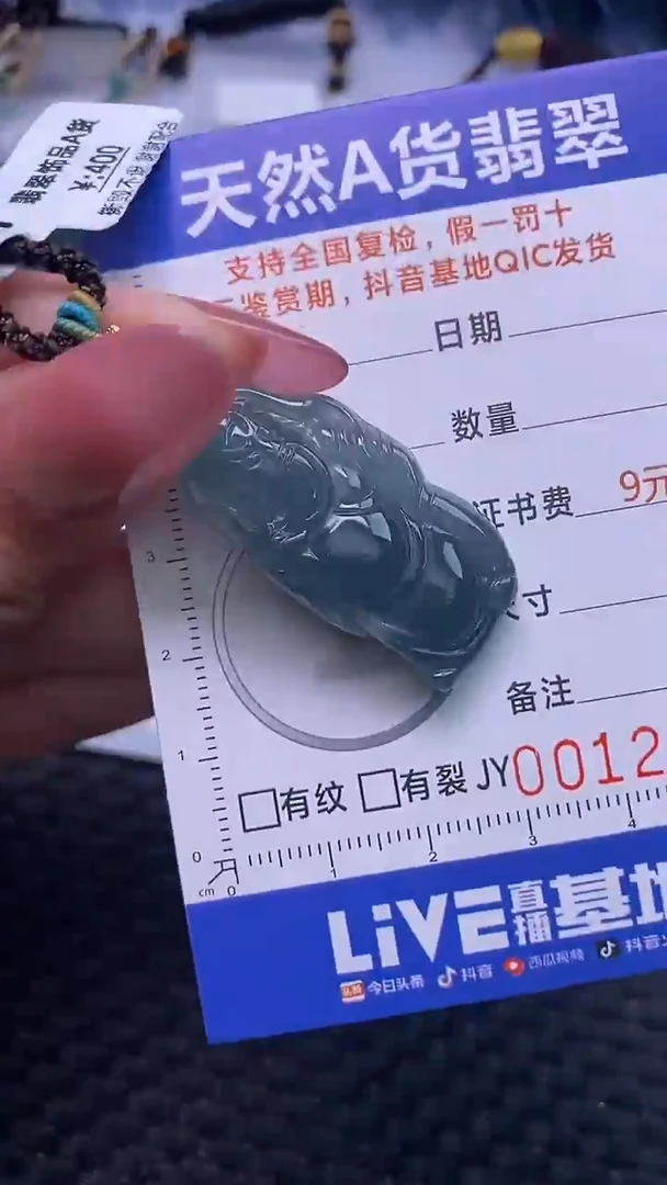 翡翠未镶嵌颈饰    2353