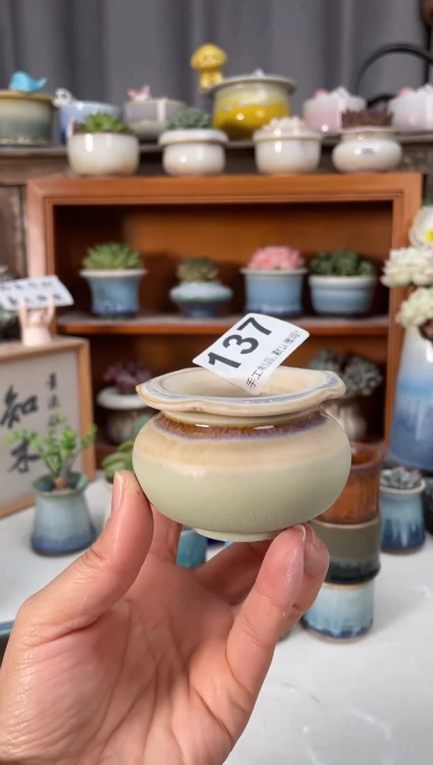 瓷片137小芳直播编号