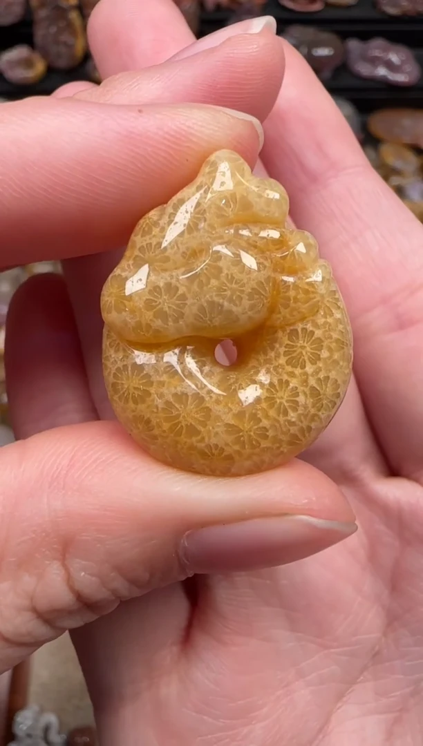 颈饰未镶嵌硅化珊瑚（珊瑚玉）565