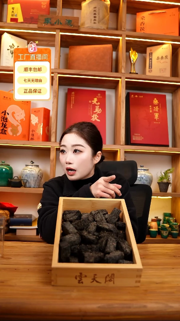 2013年老茯茶块250克装