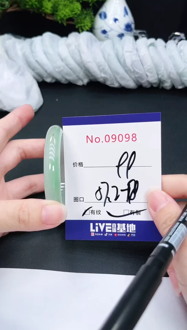 未镶嵌手镯翡翠9098