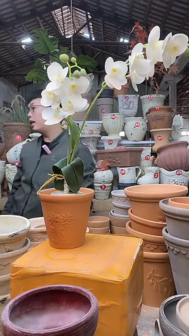 【闪购商品】缸1个13*13红陶香草无托无托