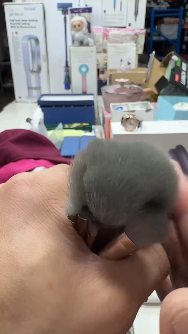 瓷片名品折扣名品折扣名品折扣@@1