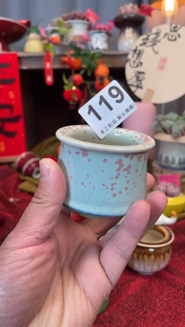 【闪购商品】摆件119知木小芳花盆