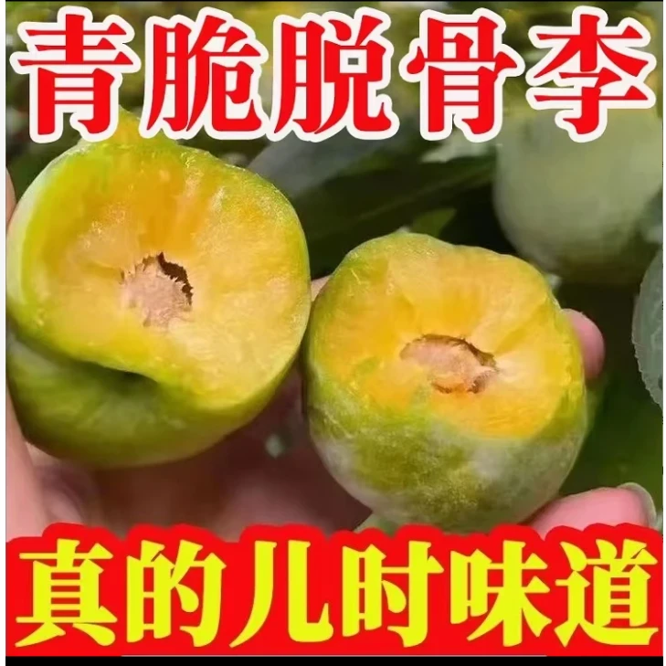 正宗新鲜青脆李脱骨李新鲜李子现摘现发脆甜多汁新鲜水果