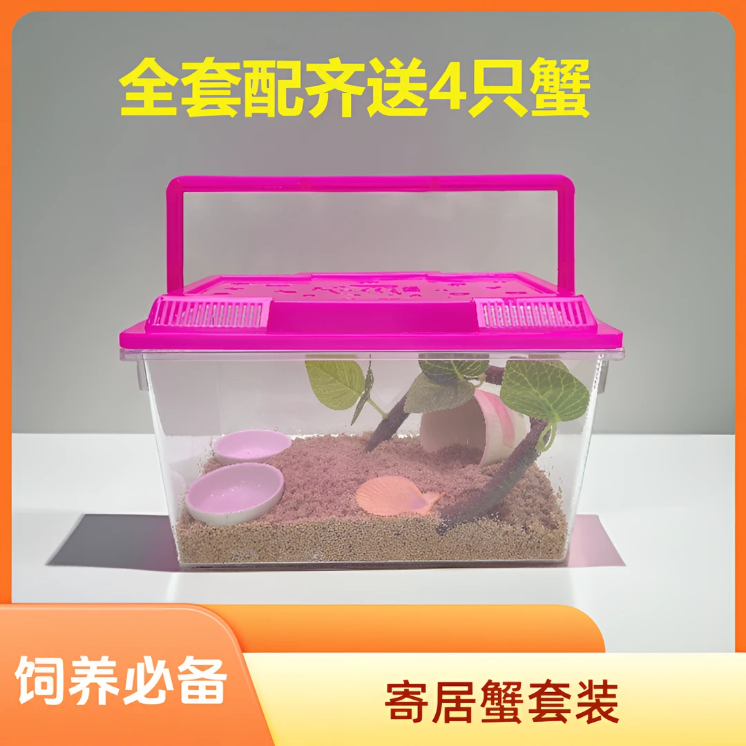 D601-700寄居蟹专用饲养箱全套中号手提透明盒子整套爬宠耐摔款
