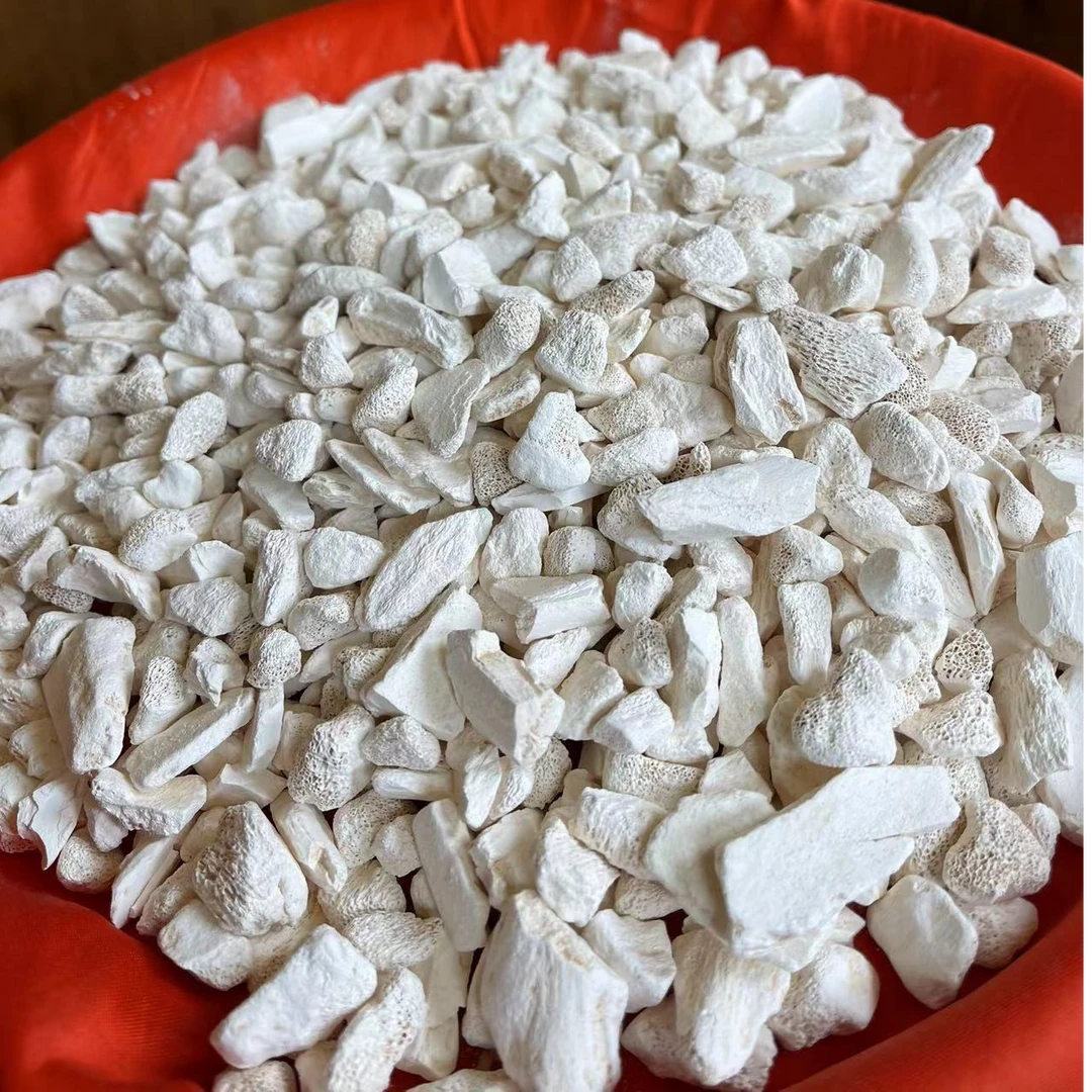 1【龙-骨】净含量：50-500g【阿奎现收】