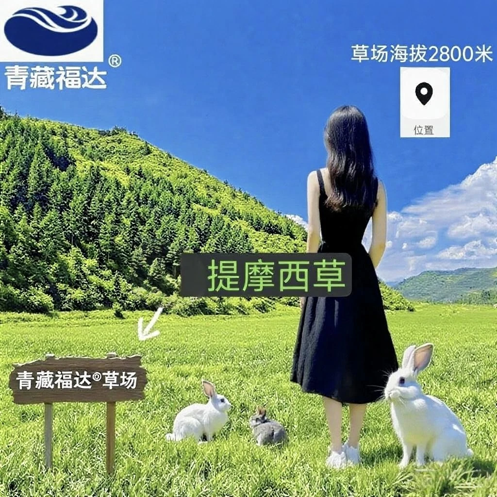 青藏福达提摩西干草兔子龙猫荷兰猪卡皮巴拉主食磨牙保健亮毛发