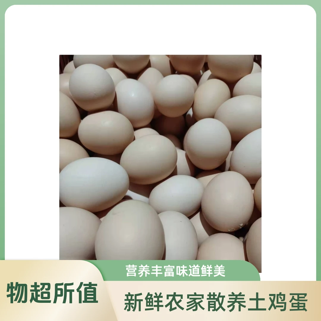 密云农家柴鸡蛋直播福利拍