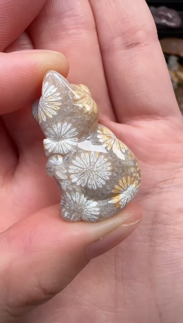 颈饰未镶嵌硅化珊瑚（珊瑚玉）561