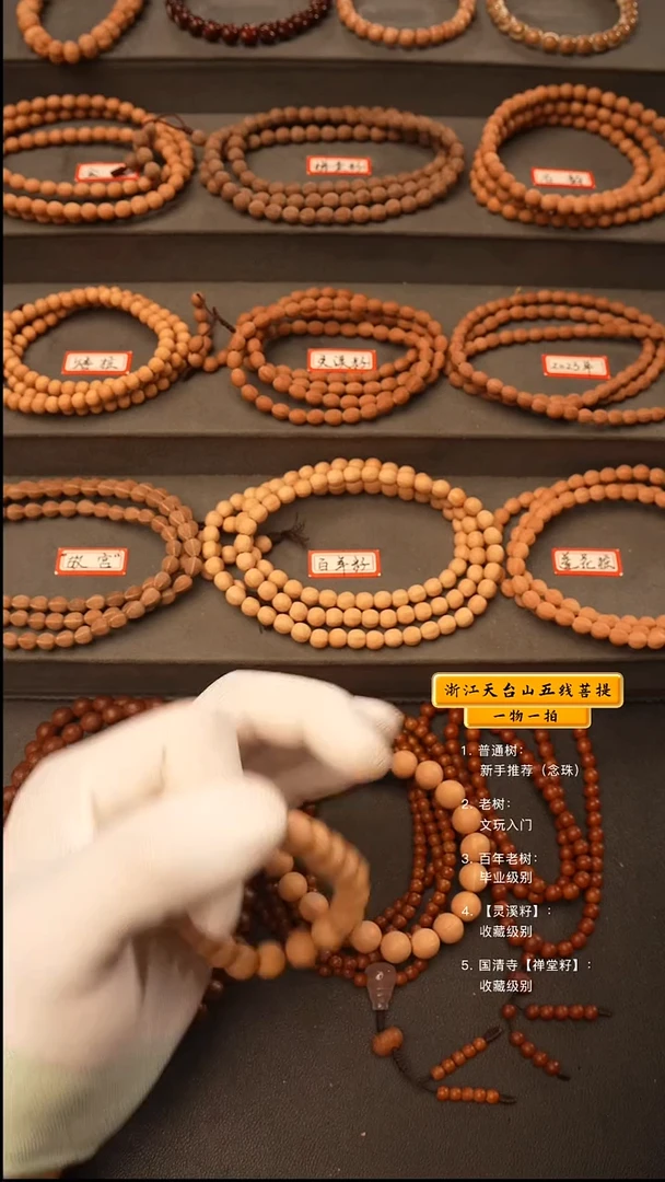 吊坠五线菩提自**?手串