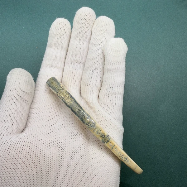 E6210天然猛犸牙牙尖支持鉴定 假一罚四