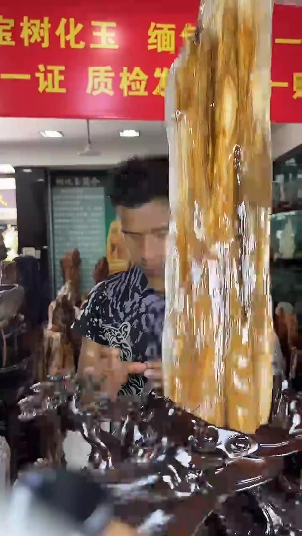 未镶嵌珠宝奇石硅化玉缅甸天然树化玉摆件