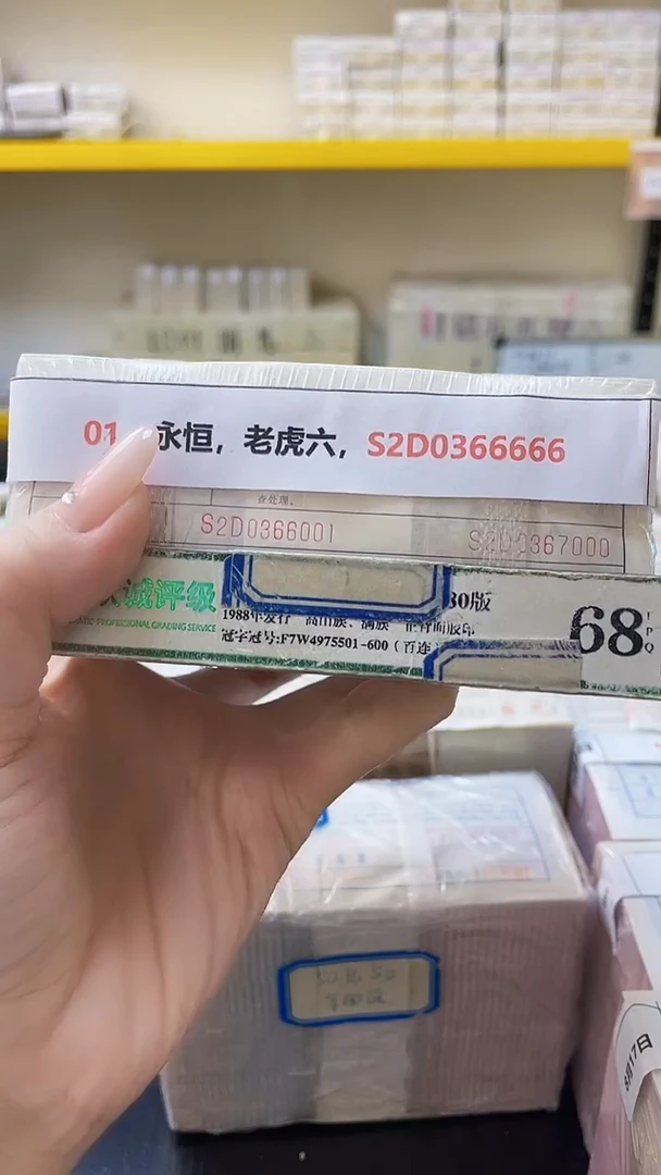 M 01，永恒，老虎六，S2D0366666