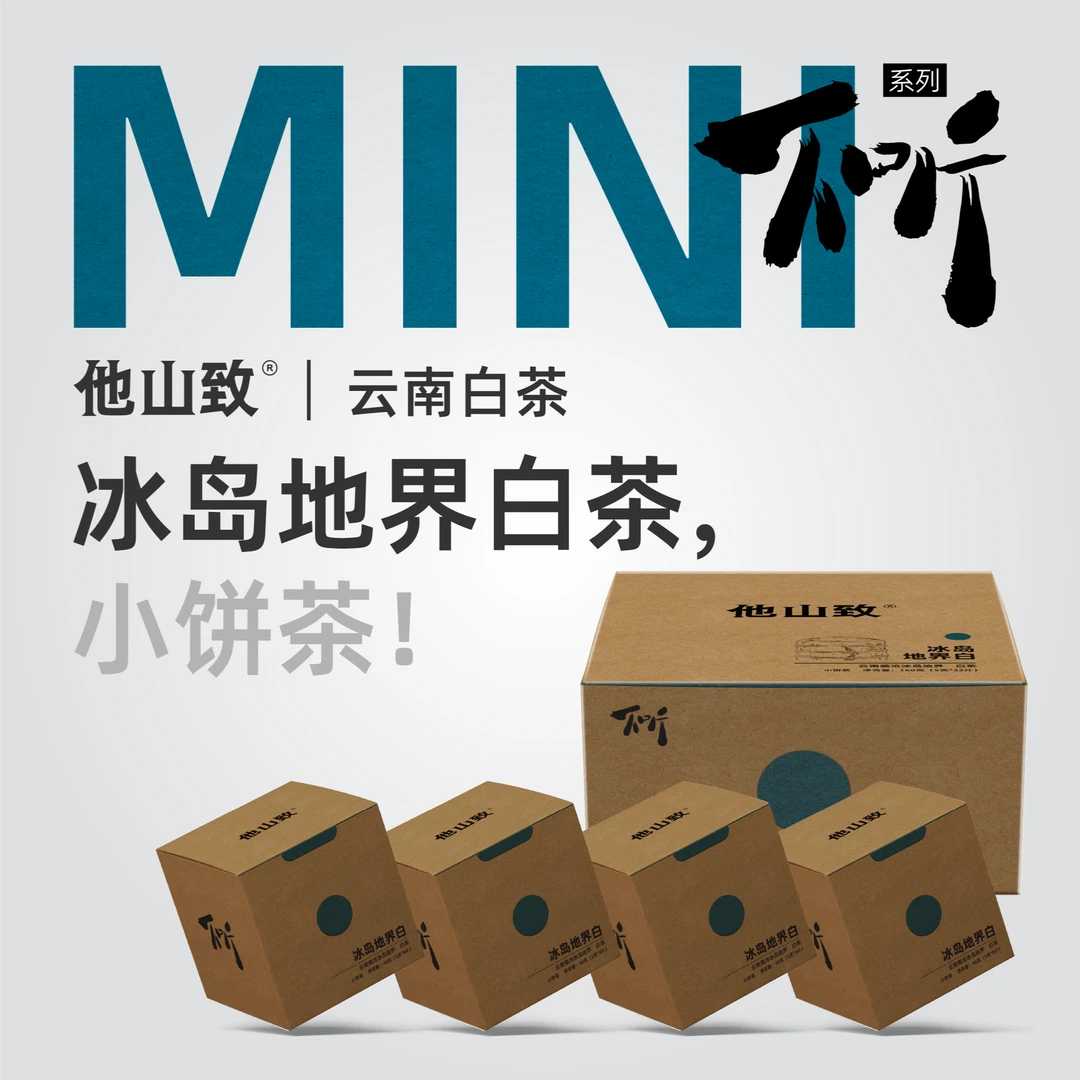 他山致「冰岛地界白茶·不听系列」2023年原料冰岛白茶老白茶160g/盒