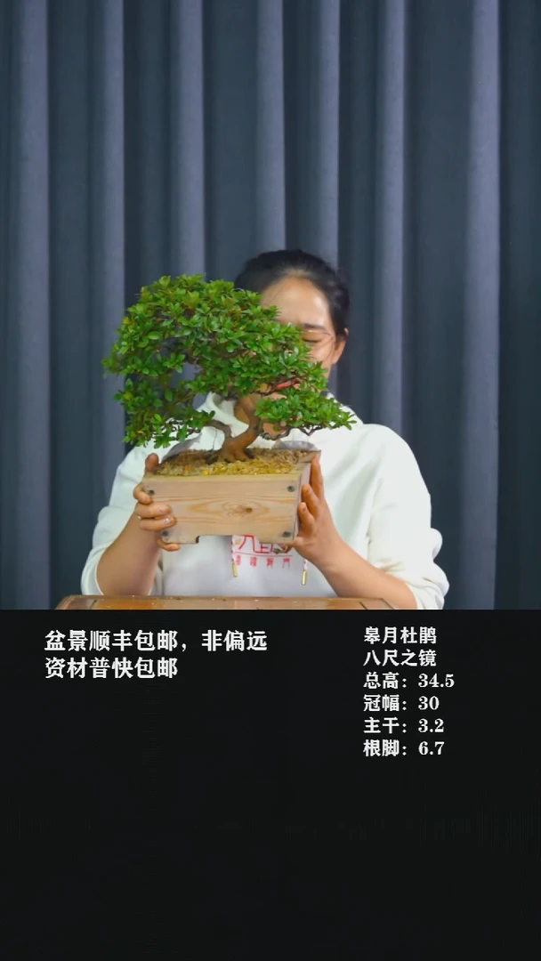 无花朵沈*帅八尺之镜-G7733