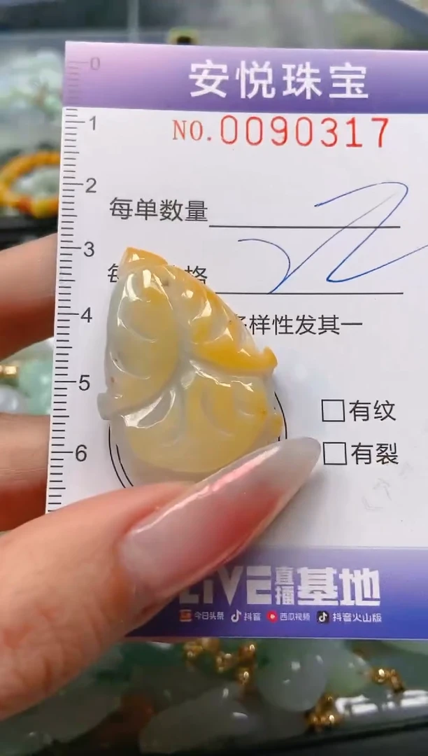 【闪购商品】翡翠颈饰未镶嵌闪购0090317