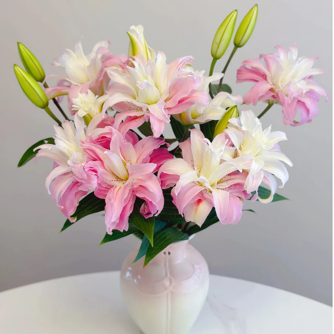 （戴安娜）粉色重瓣香水百合产地直发黑吉辽蒙京津冀包邮鲜切花