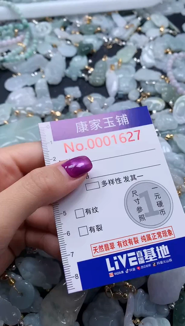 颈饰未镶嵌翡翠1627